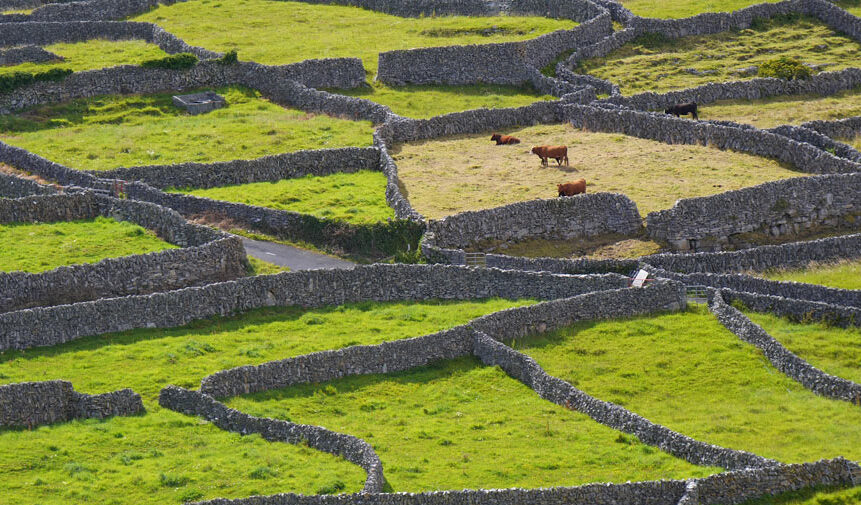 healy crowley & co solicitors farming & agricultural law solicitors fermoy & tallow